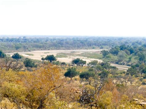 Il Matrimonio di Mapungubwe con la Tecnologia del Ferro e l'Ascesa dei Regni Bantu